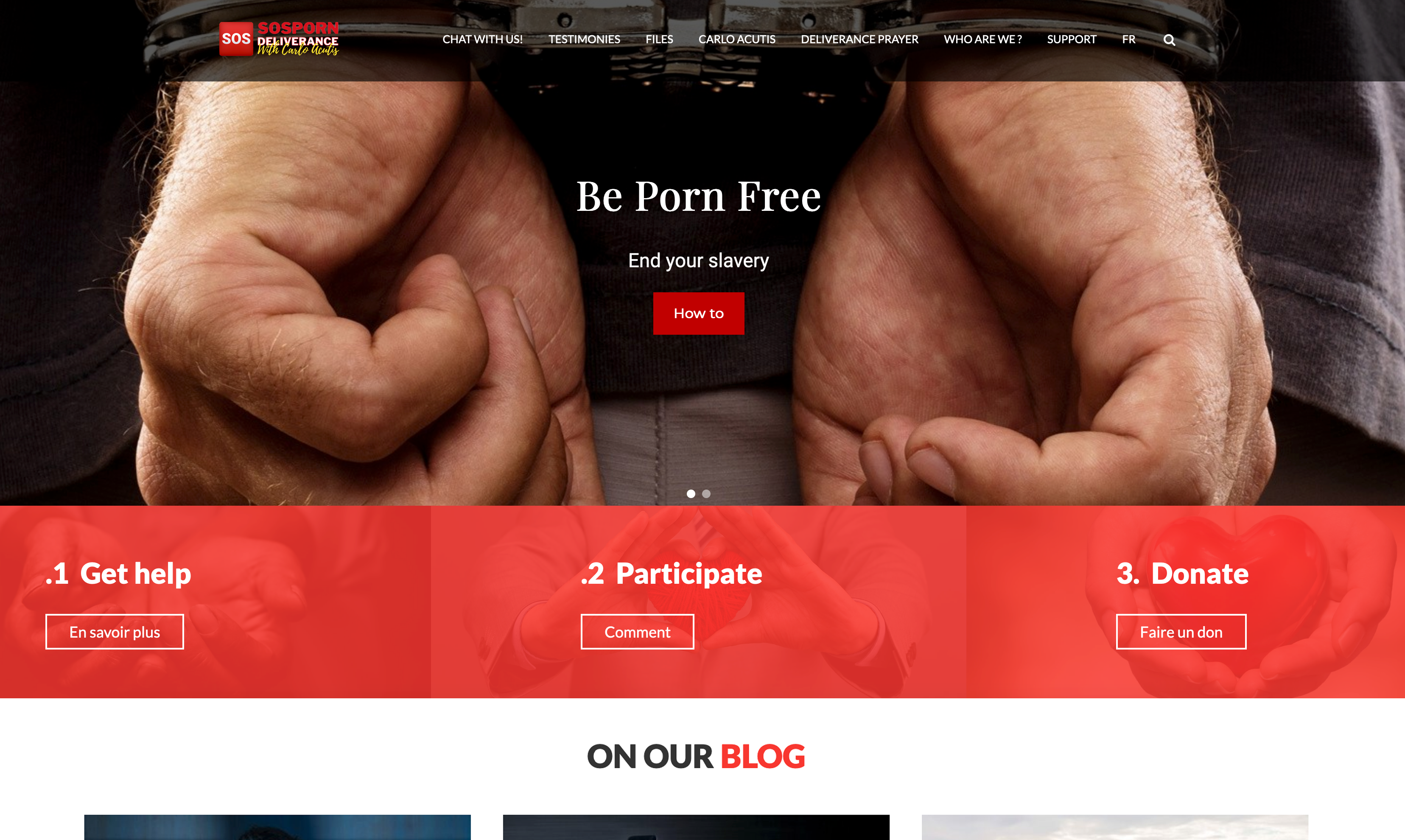 Our New Platform SOSporn.org: Helping Those Addicted to Pornography -  Lights in the Dark